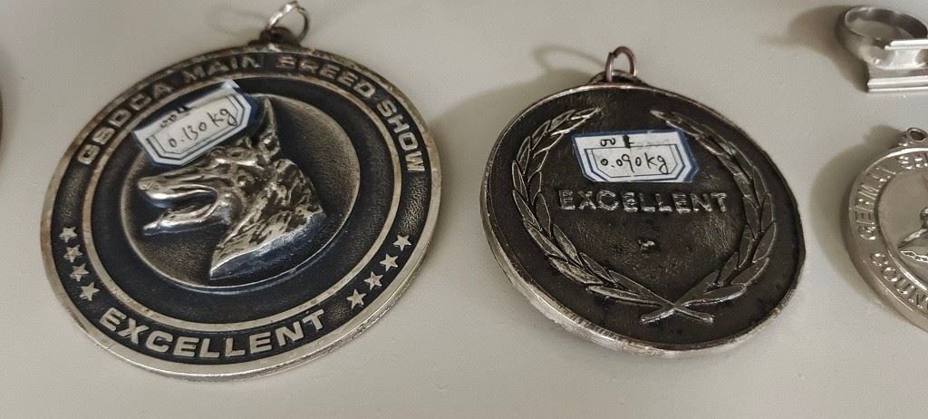 dog tag 1